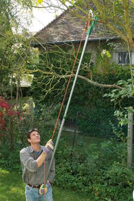 echenilloir telescopique scie à branche manuelle 2.50 metres