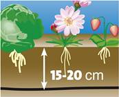 Tuyau d'arrosage 50 m micro porreux pour haie, massif, potager